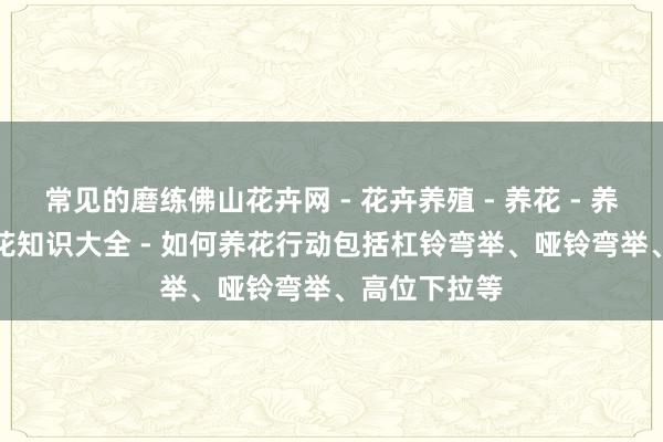 常见的磨练佛山花卉网 - 花卉养殖 - 养花 - 养花技巧 - 养花知识大全 - 如何养花行动包括杠铃弯举、哑铃弯举、高位下拉等