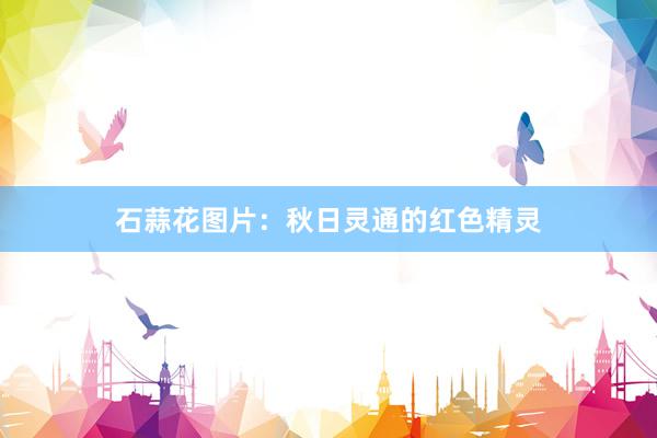 石蒜花图片：秋日灵通的红色精灵
