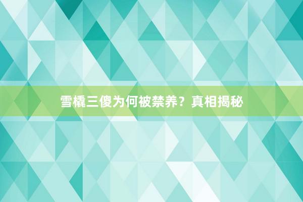 雪橇三傻为何被禁养？真相揭秘