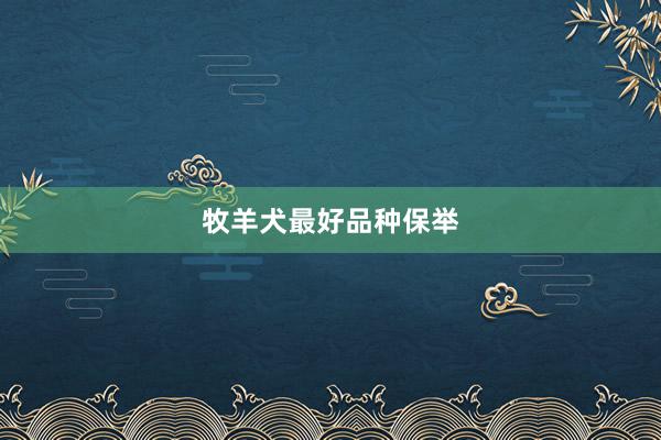 牧羊犬最好品种保举